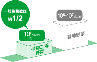 【グラフ】植物工場野菜と露地野菜の一般生菌数比較（収穫時）