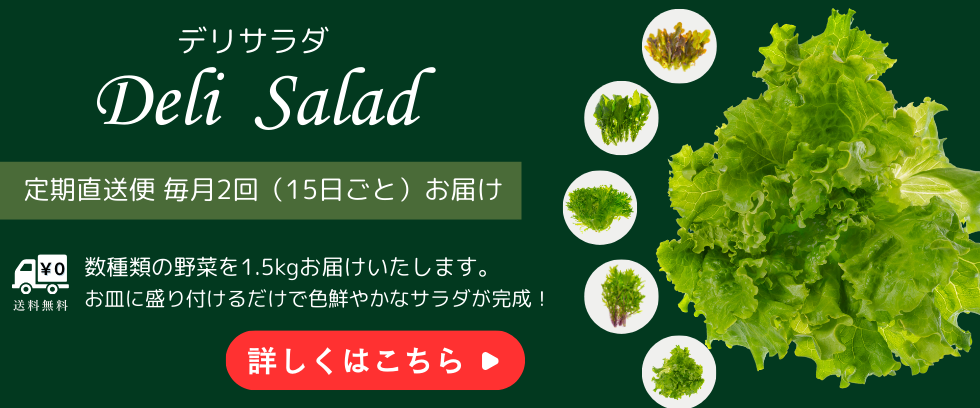 定期購入バナー